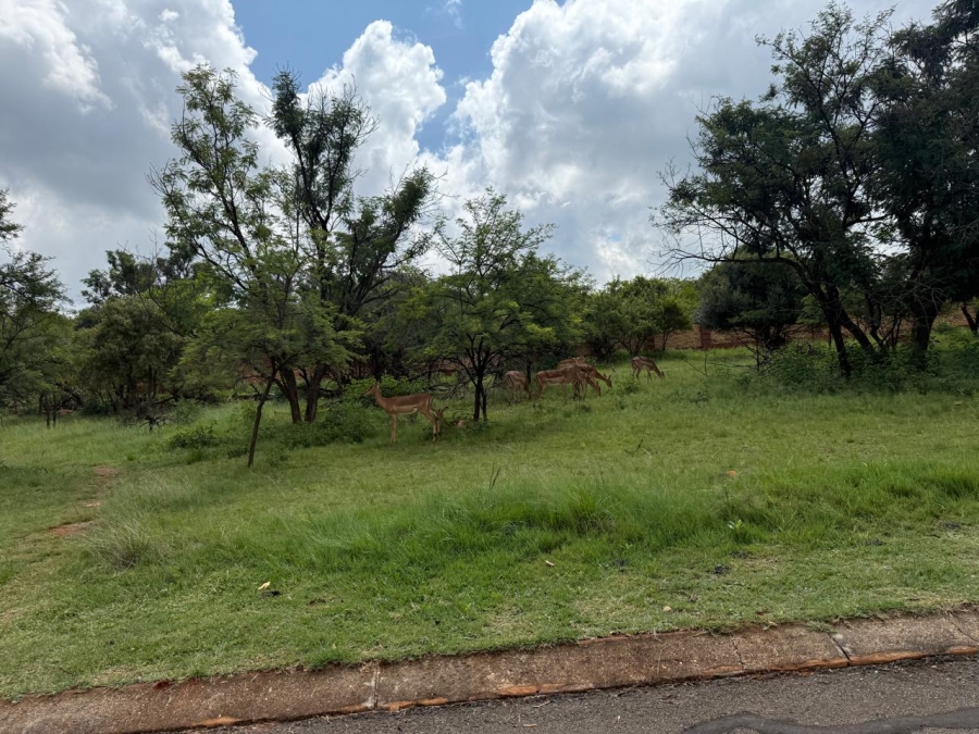 0 Bedroom Property for Sale in Buffelspoort Eco Estate North West